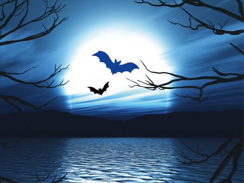 Lange Saunanacht_Halloween Special